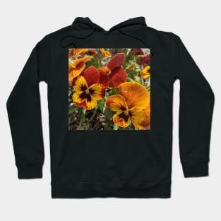 Yellow Orange and Red Mailbox Flowers 1 Hoodie